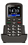 Aligator A431