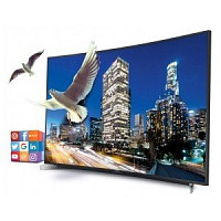 Grundig Fine Arts 55 FLX 9591 BP