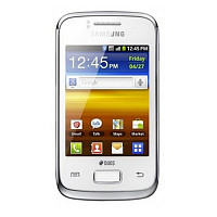 Samsung Galaxy Young Duos