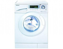 Samsung R1245